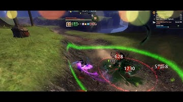 Thief vs. Sentry vs. Bot/ Guild Wars 2 / WvW