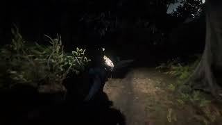 Rdr2 funnies 