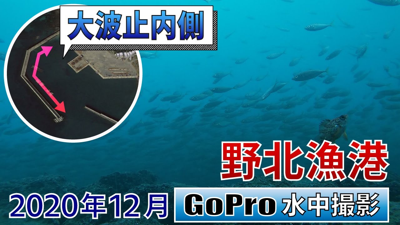 野北漁港の大波止内側でGoPro沈めてみた