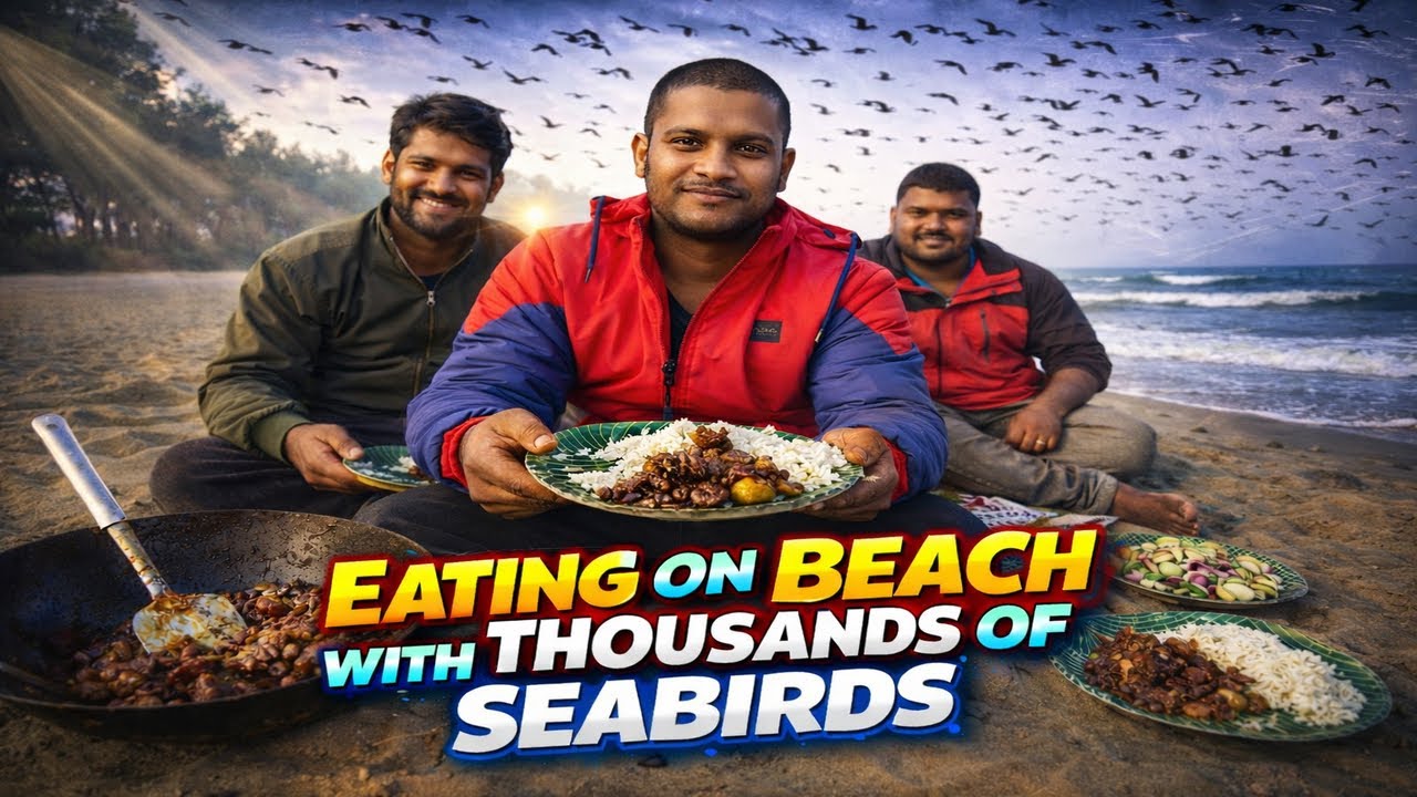 ସମୁଦ୍ର କୂଳରେ ଚଢ଼େଇ ଦେଖାକୁ ଚିକେନ କଷା. ENJOYING food With Thousands of Migratory Birds. WILD COOKING.