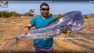 Extremely Big Fish #BIG HEAD FISH BBQ