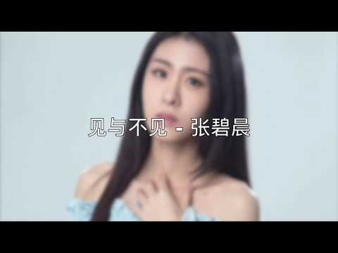 [深情献唱] 见与不见 - 张碧晨 [动态歌词版]