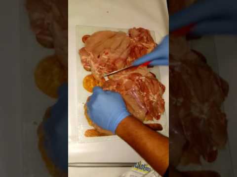Βίντεο: Πώς να μαγειρέψετε ρολά κρέατος σε αεροπλάνο
