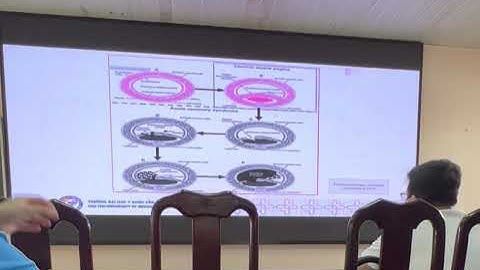 DƯỢC LÝ CTUMP: THUỐC CHỐNG ĐAU THẮC NGỰC |Ths Lê Kim Khánh