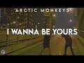 Arctic Monkeys I Wanna Be Yours Lyric Video