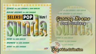 Seleksi Pop Sunda Vol. 1 - Doel Sumbang Dkk