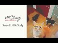 Sweet Little Sixty