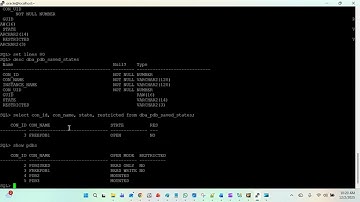 Saving Pluggable Database (PDB) startup State in Oracle 19c / 23ai