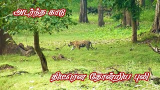 Shocking Tiger Sighting in Nagarhole Forest  | Dangerous Dense Forest | Jolly Trip