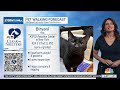 NBC New York Morning News: 8/5/2026 Midterms | NYC Getaway | Med Student Shot | Chipotle Salmonella