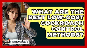 What Are The Best Low-cost Cockroach Control Methods? - Insects and Invaders