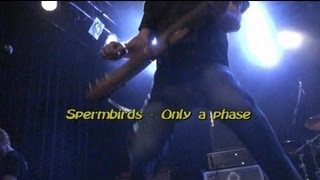 Spermbirds - Only a phase (live)