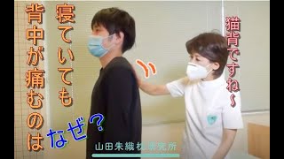 仰向けで寝ると背中が痛いのはなぜ オーダーメイド枕の山田朱織枕研究所