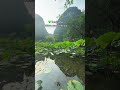 Lotus, Mountains, and Peace | A Day in Dundj Valley, Ninh Binh #tamcoc