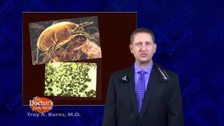 The Doctor's Lounge: Allergies