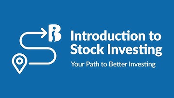 Introduction to Stock Investing