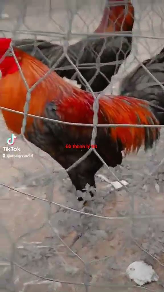 j 88 - Trải Nghiệm Sức Cuộc Chơi Đỉnh Cao Trực Tuyến