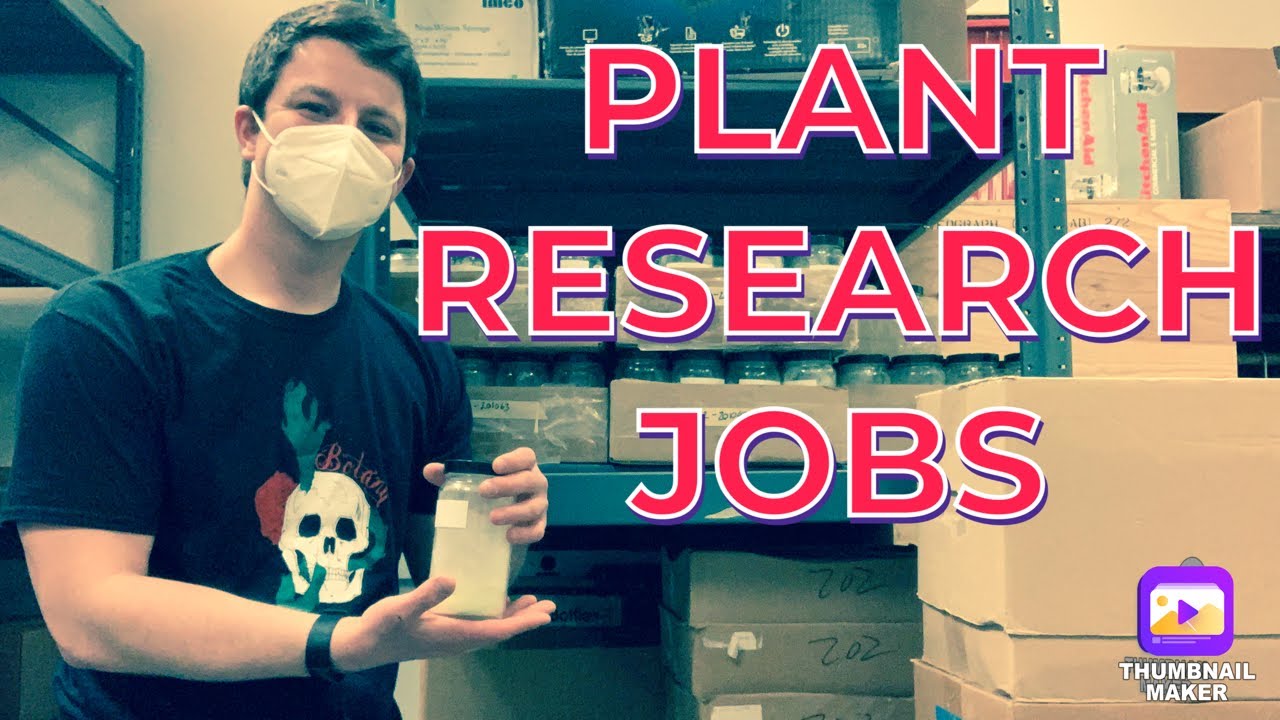 plant research jobs near me