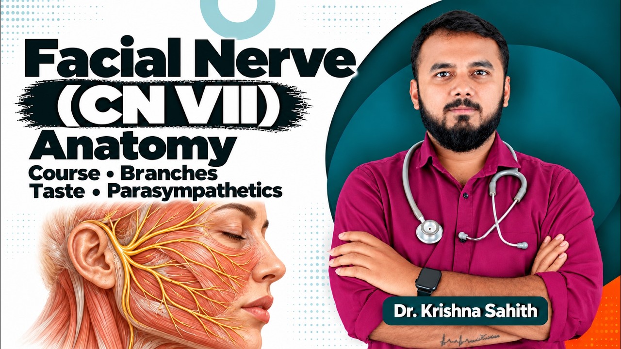 6. Facial Nerve (CN VII) Anatomy 😊 | USMLE Step 1 | Course, Branches ...