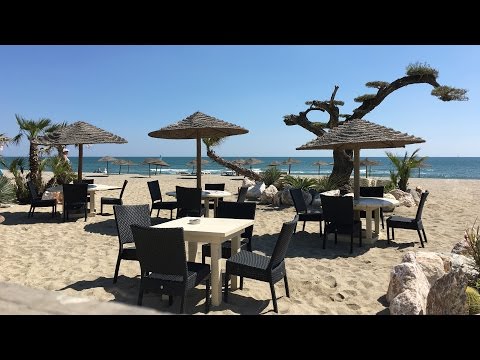 ►Saint-Cyprien : Caliente, Restaurant Incontournable Du Littoral Méditerranéen - Le Journal Catalan