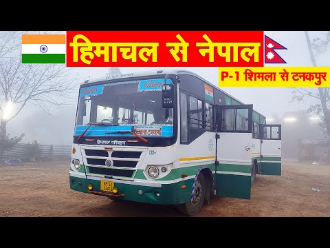 Nepal Border Express - SHIMLA TO TANAKPUR HRTC bus service | शिमला से टनकपुर | Himbus