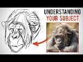 Improve Your Designs with Shape Breakdowns