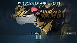 V25