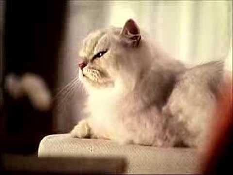 fancy feast commercial 2018