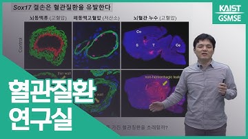 김인준 교수님 | 혈관질환 연구실 Prof. Kim, Injune  | The Laboratory of Vascular Health and Disease