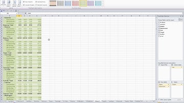 Microsoft Excel 2010 Level Three Video 43 Pivot Table Style and Layout