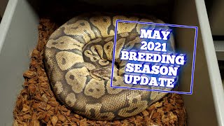 MAY 2021 BREEDING SEASON UPDATE