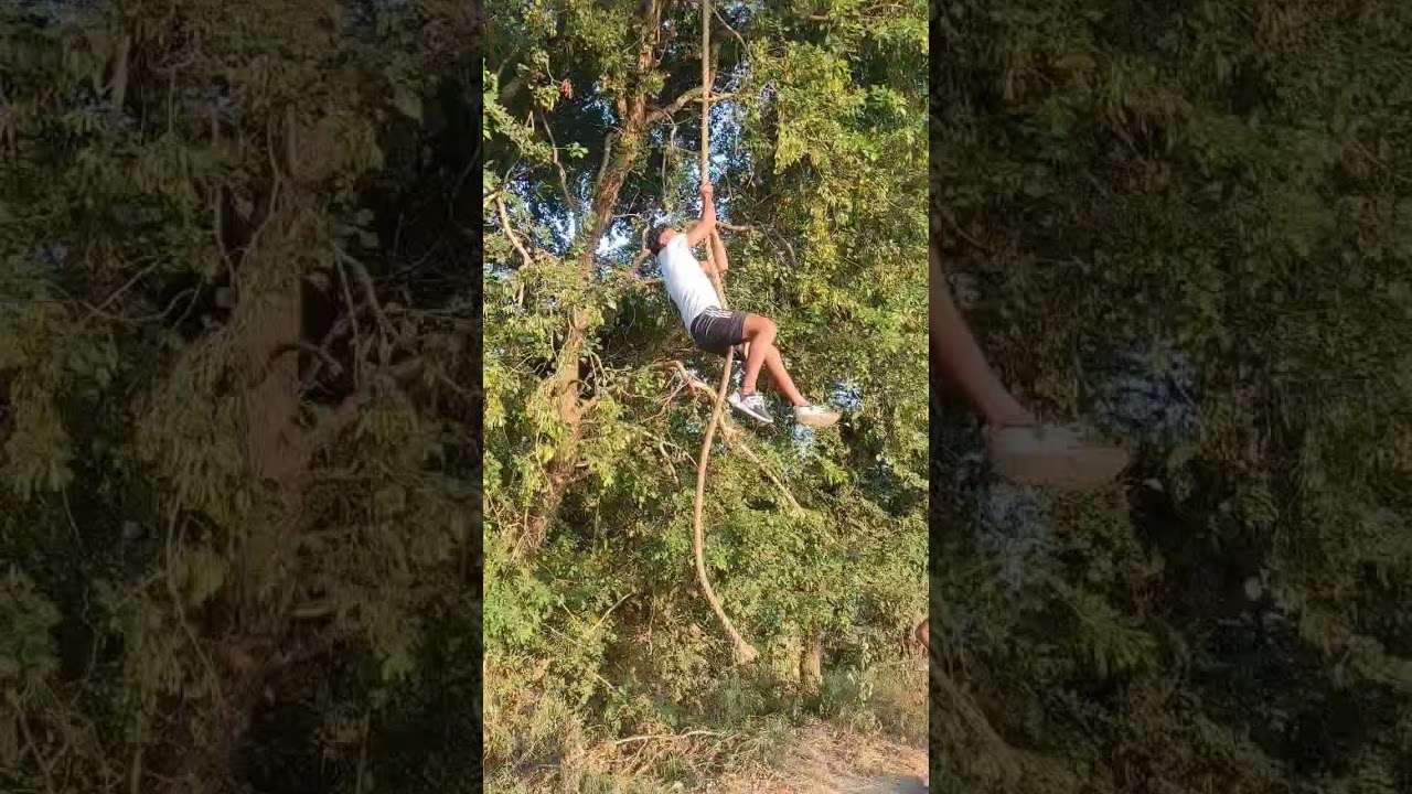 Enjoying the sunshine and serenity on a lazy afternoon. ☀️💚