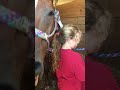 Birthday horse surprise! **Watch till end
