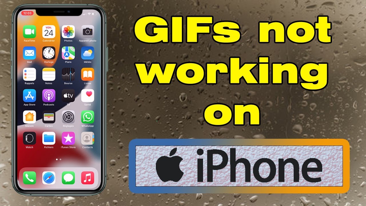 Why are my GIFs not working on iPhone, how to fix it - YouTube