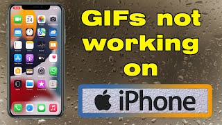 Why are my GIFs not working on iPhone, how to fix it