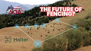 Cattle Collars & Public Lands: Inside Halter's BLM Partnership