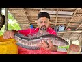 Wow live fresh giant snakehead fish cleaning  cutting skills by dangerous fish cutter sri lanka