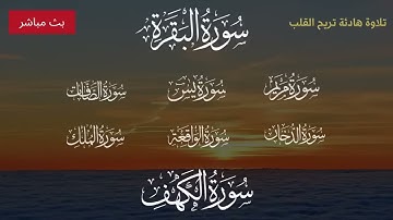 البقرة يس مريم الصافات الدخان الواقعة الملك الكهف - تلاوة هادئة