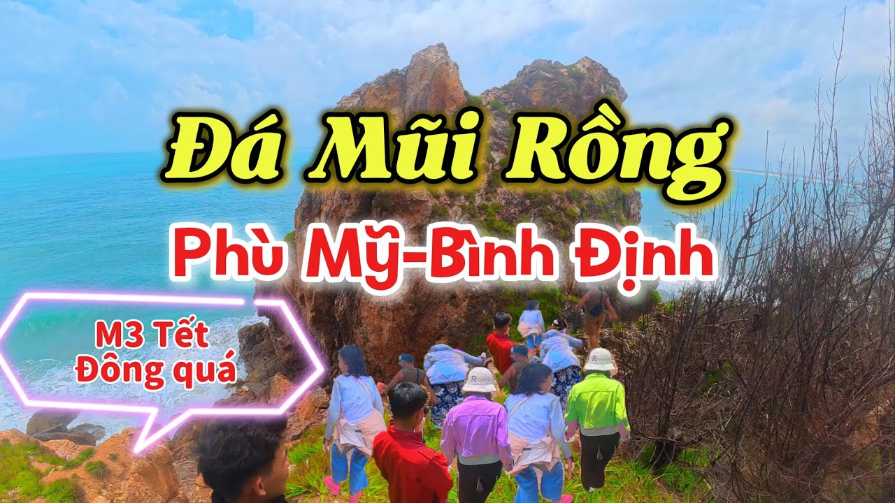 Độc Lạ Đá Mũi Rồng tại biển Phù Mỹ , Bình Định | Huỳnh Như Việt 77