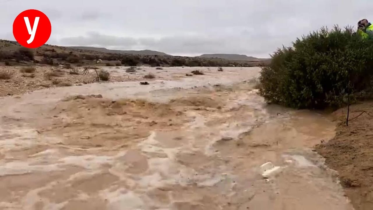 שיטפון בנחל צין