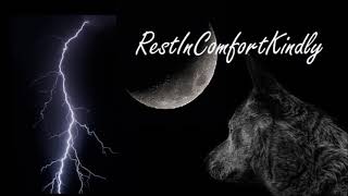 Wolf Howling At Thunder