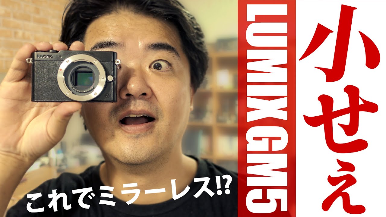 このサイズでレンズ交換式かよ！？ パナソニック LUMIX GM5 コンデジ並に世界最小のファインダー搭載ミラーレス一眼をレビューするよ 機能・外観編  良いところや or 古すぎ仕様