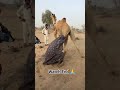 kya Kisi Ne yah Dekha Hai comment Mein batao 🏜️🐪
