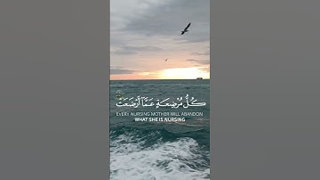 #القران_الكريم #راحة_نفسية #ايات_قرانيه #تلاوة_خاشعة #لايك