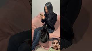 #comedy #funny #viralshort #cat #youtubeshorts #funnyanimal #trendingshorts #petlover #pets #cutecat