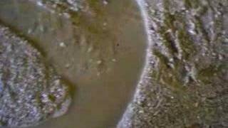 Cut-off and Oxbow Formation on a Stream Table
