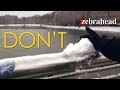 Zebrahead - Don't Eat Yellow Snow