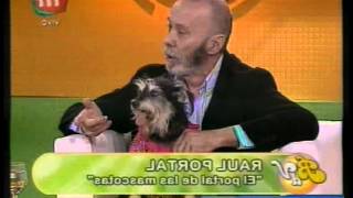 Bdv Portal Pelea Con Debrito 2010 06 18