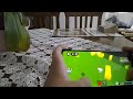Roblox oynadım