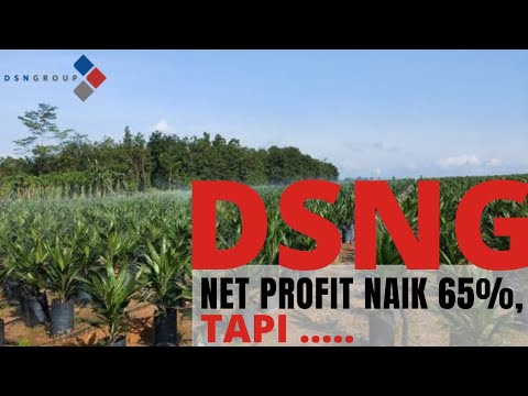 DSNG LABA NAIK 65%, TAPI KOK GAK MENARIK. KENAPA? #analisafundamental